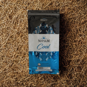 Gangotri Nityam Cool Incense Sticks